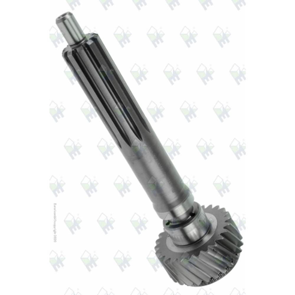 ŞANZIMAN PRİZDİREK 2521 ZF 9S75