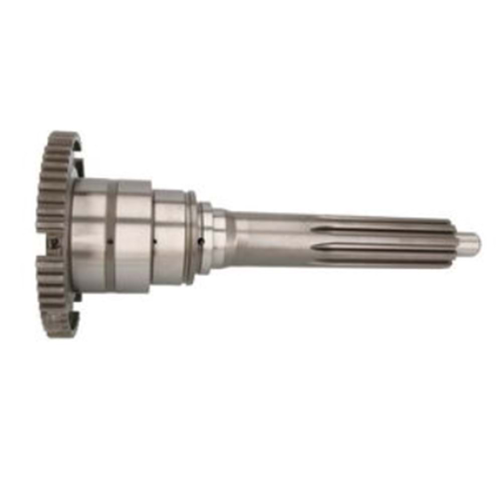PRİZDİREK MAN/DAF ZF 16S220/16S221