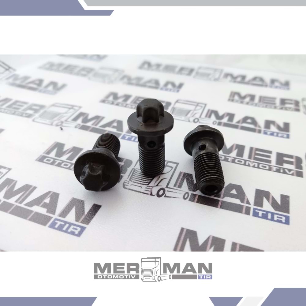 YAĞ FISKİYESİ REKORU CİVATASI SCANIA DSC12 R-SERİ