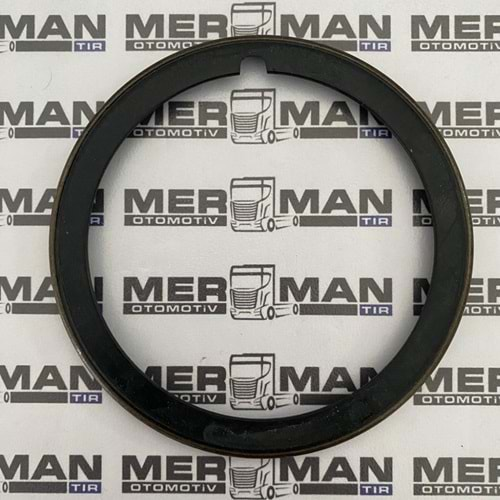 ŞANZIMAN PRİZDİREK İÇ KEÇE ZF 16S151/221