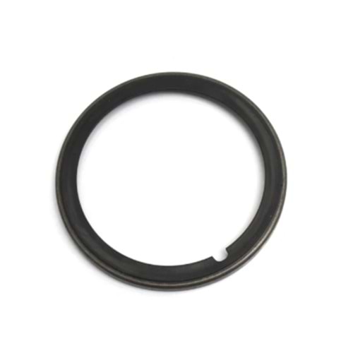 ŞANZIMAN PRİZDİREK İÇ KEÇE ZF 16S151/221