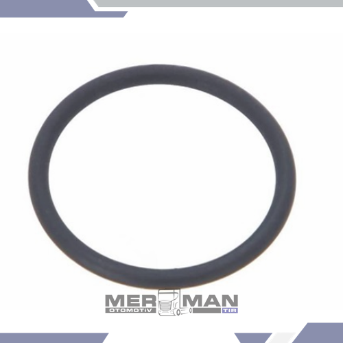 ENJEKTÖR HOLDER ORİNGİ DAF MX